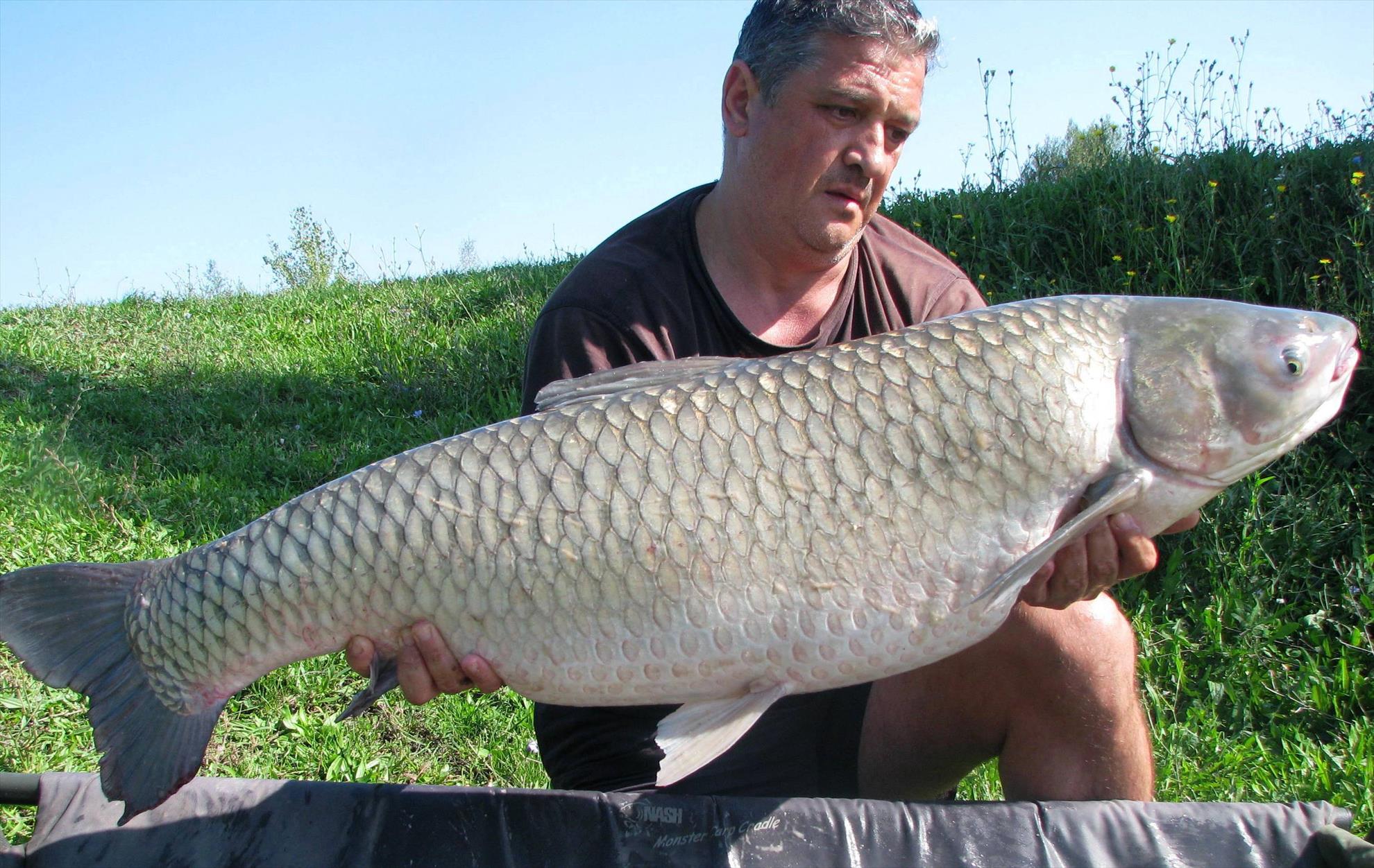 Balkan lake 19 - 26 septembrie 2015 - 185kg.JPG